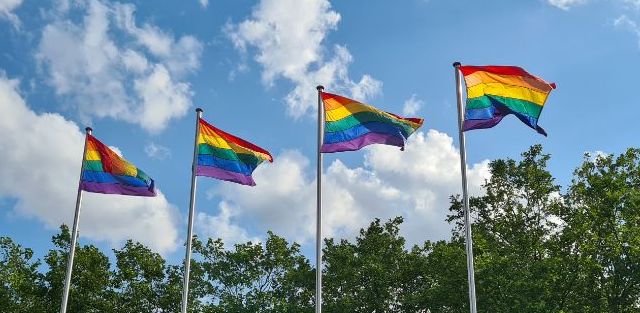 Regenbogenflaggen wehen in Braunschweig im Wind.